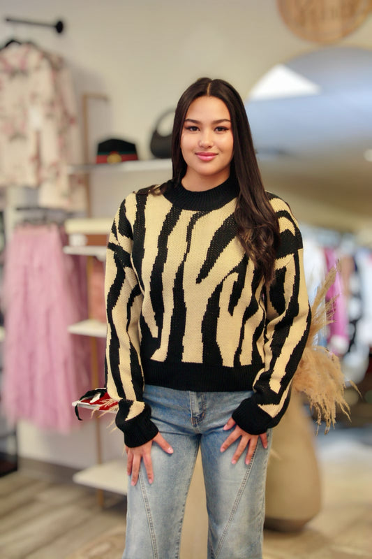 SHAYNA ZEBRA STRIPE SWEATER